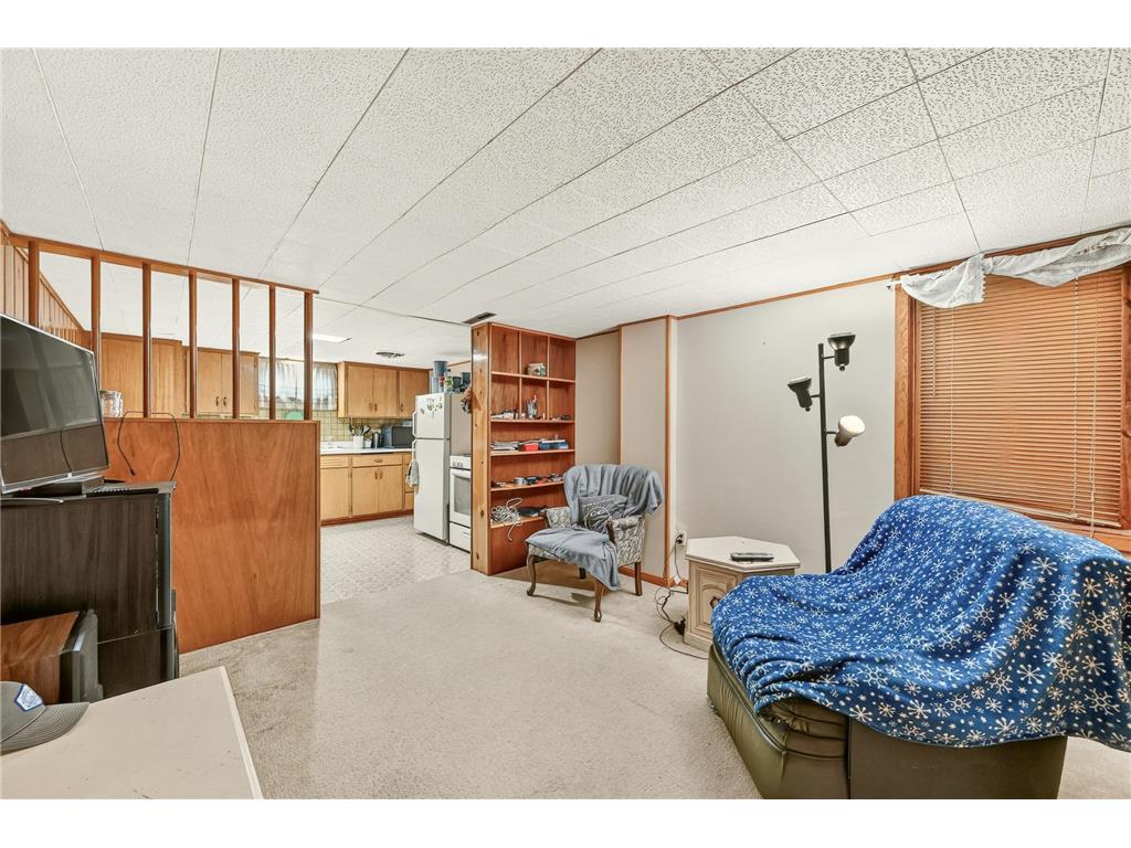 1114 13th Avenue NW Rochester MN 55901 7095080 image24
