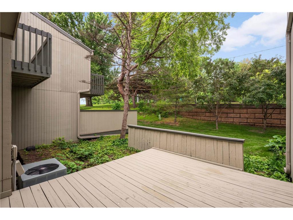 11140 Abbott Lane Minnetonka MN 55343 7077398 image28