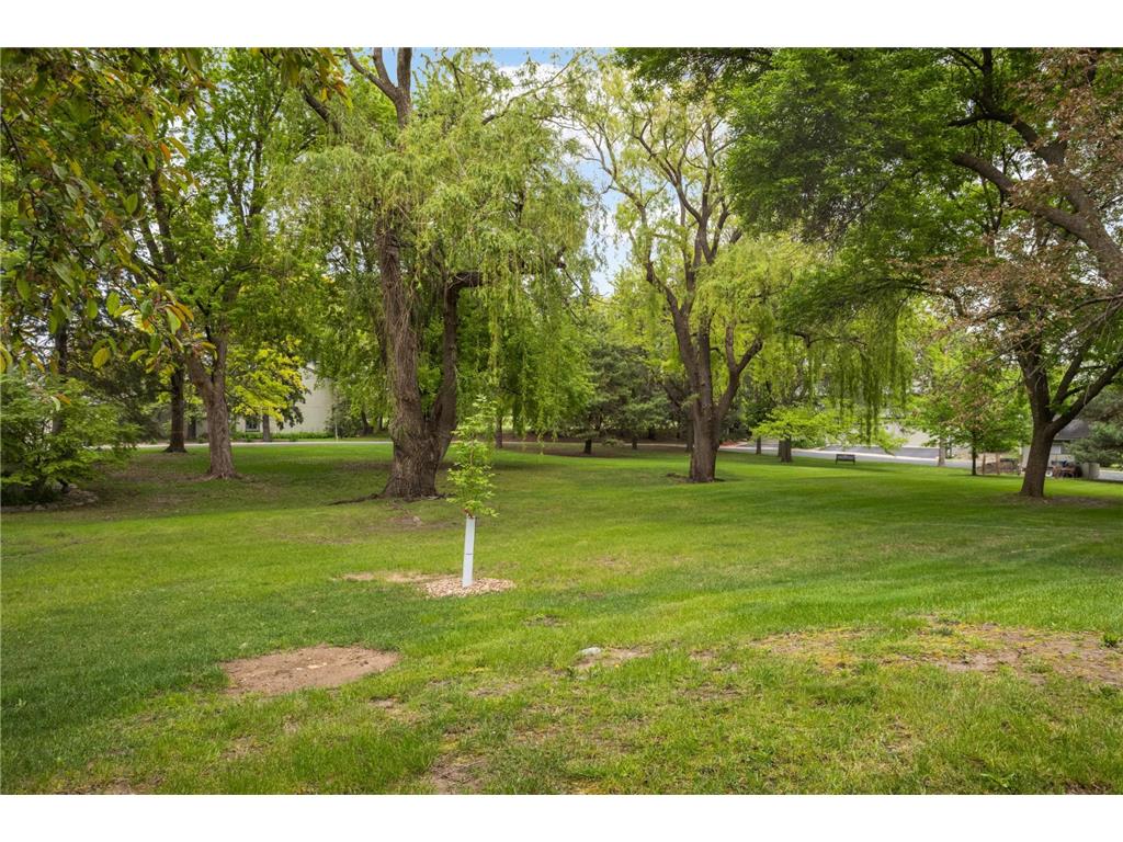 11140 Abbott Lane Minnetonka MN 55343 7077398 image31