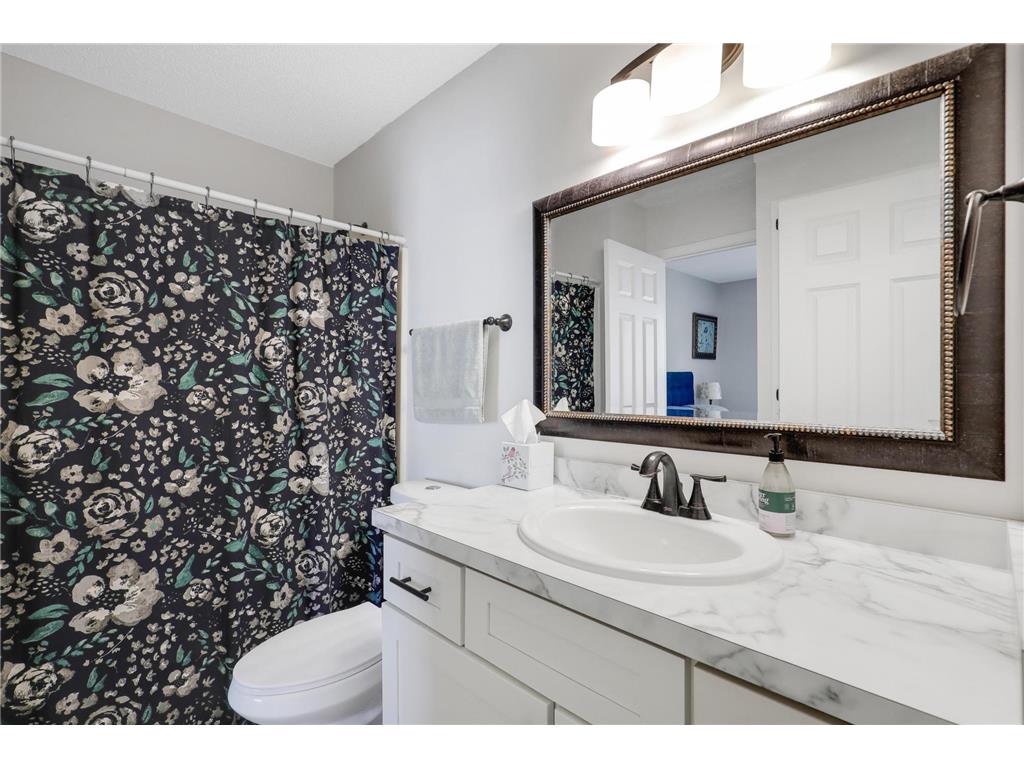 11147 Virginia Avenue N Champlin MN 55316 7076519 image24