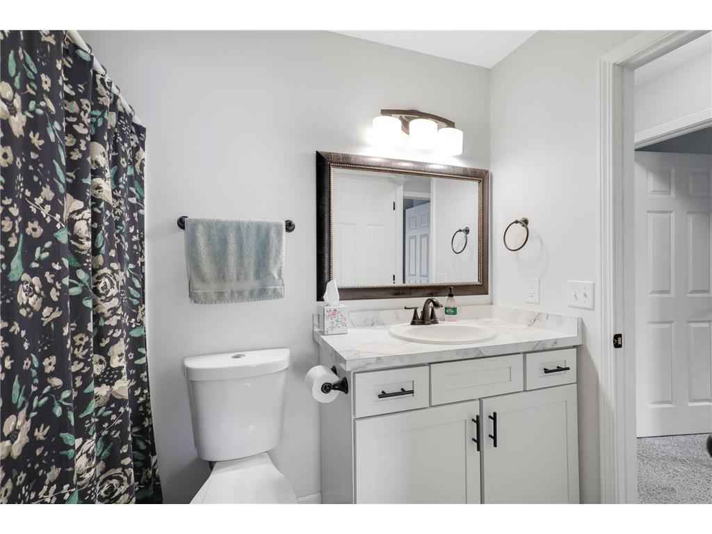 11147 Virginia Avenue N Champlin MN 55316 7076519 image25