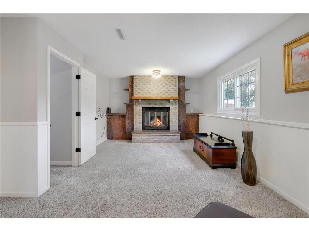 11147 Virginia Avenue N Champlin MN 55316 7076519 image29