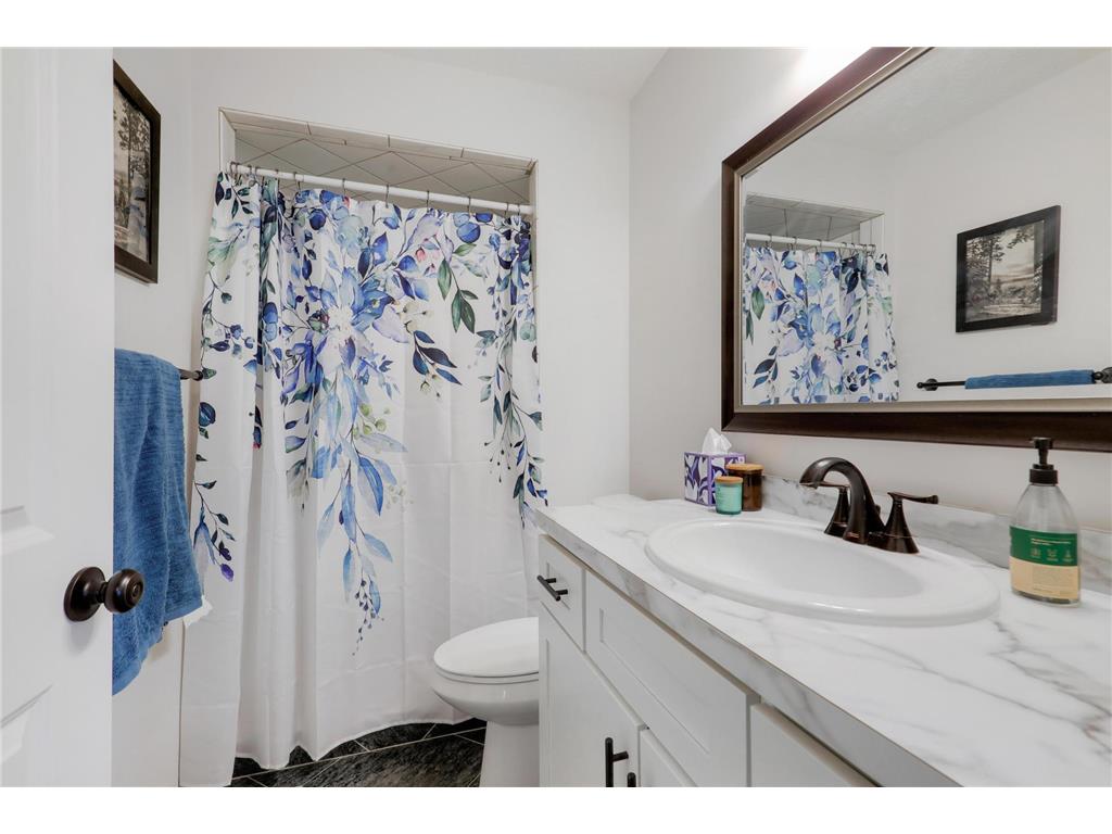 11147 Virginia Avenue N Champlin MN 55316 7076519 image38