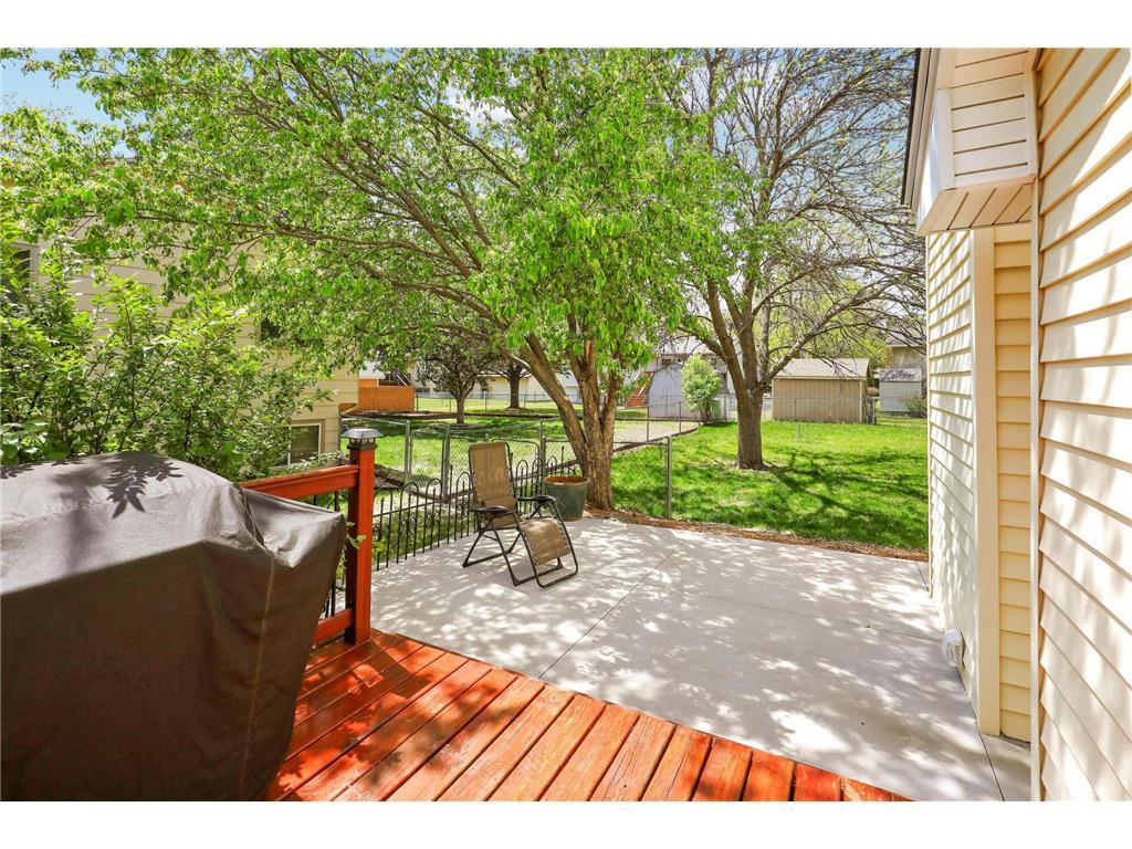 11147 Virginia Avenue N Champlin MN 55316 7076519 image50