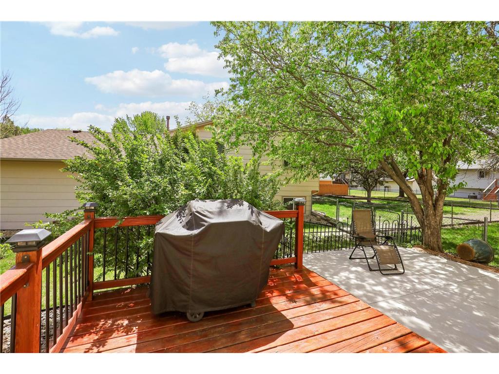 11147 Virginia Avenue N Champlin MN 55316 7076519 image51