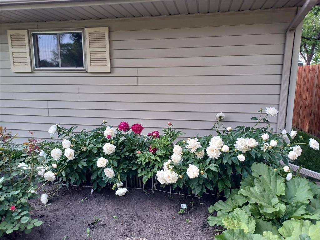 1115 Swanhill Drive Albert Lea MN 56007 6794891 image10