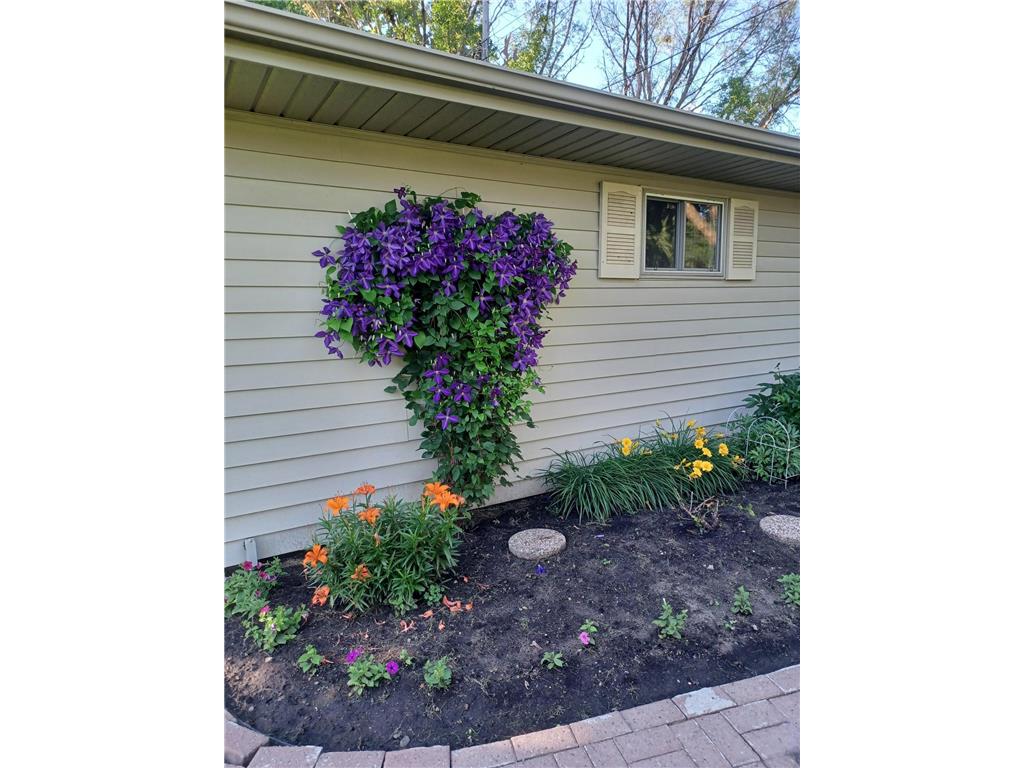 1115 Swanhill Drive Albert Lea MN 56007 6794891 image11