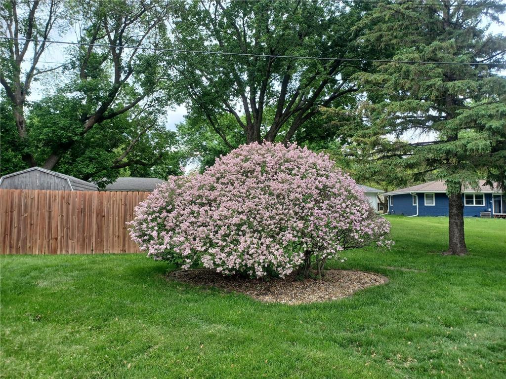 1115 Swanhill Drive Albert Lea MN 56007 6794891 image13