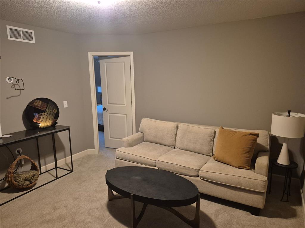 1116 Station Trail Eagan MN 55123 7083223 image19