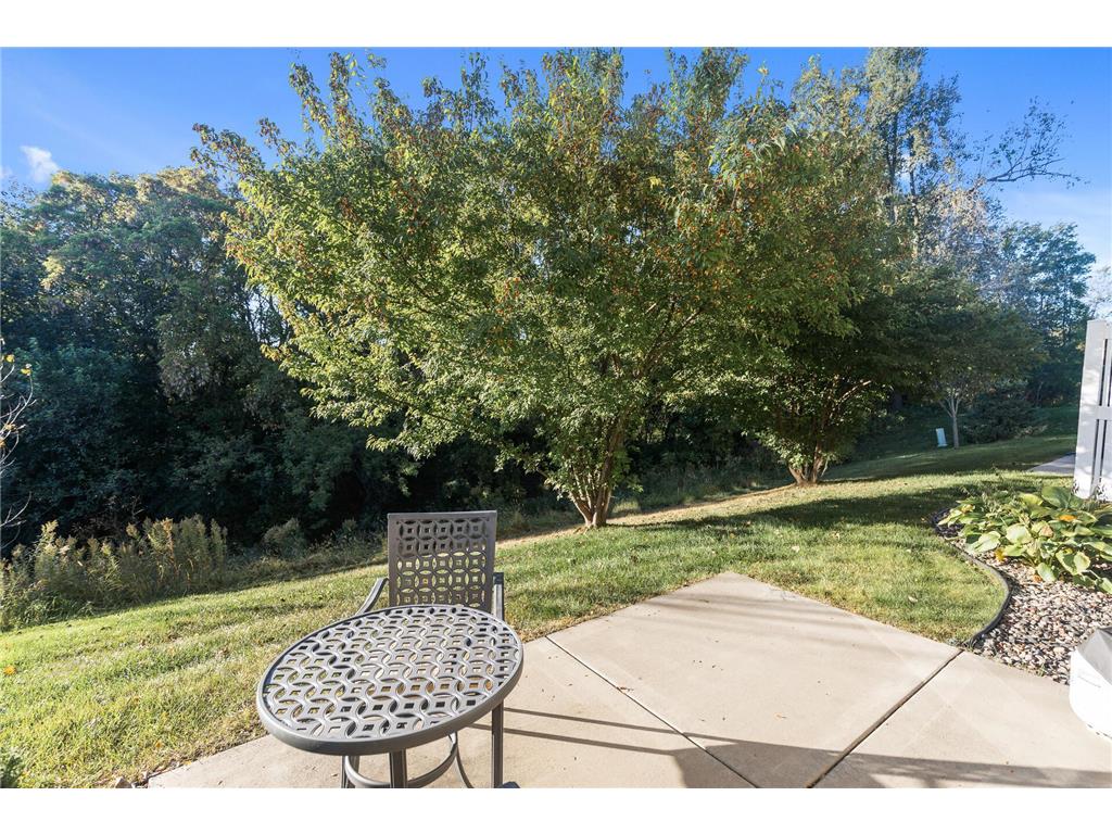 1116 Station Trail Eagan MN 55123 7083223 image22