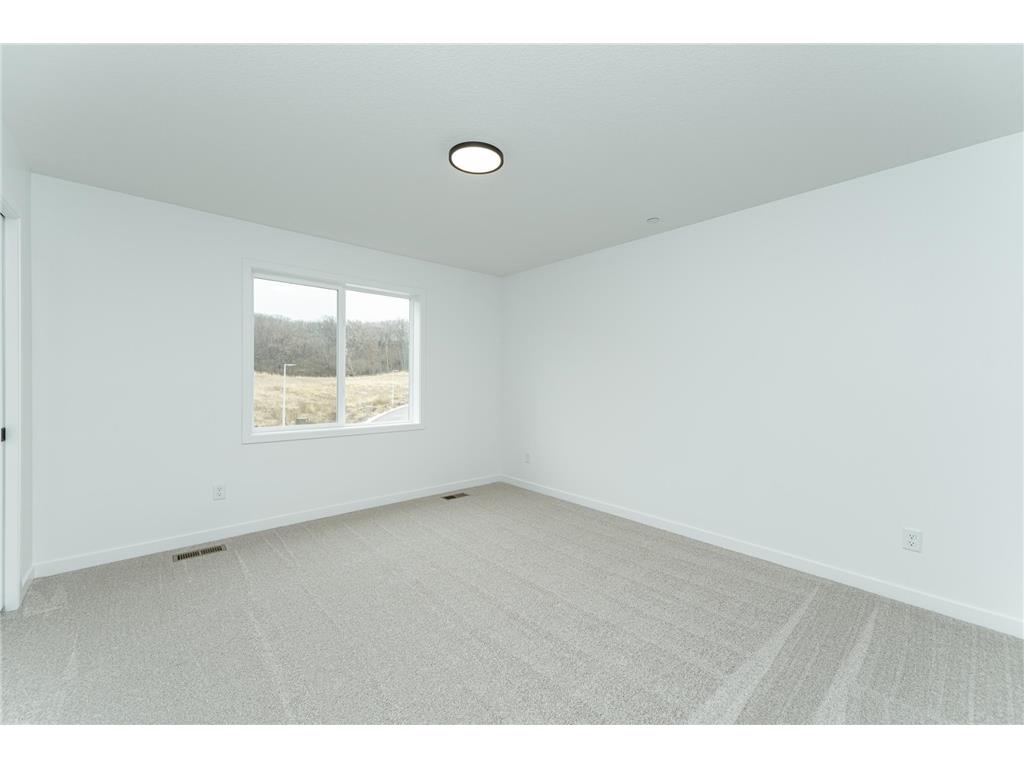 1117 Century Village Lane NE Rochester MN 55906 6819218 image23