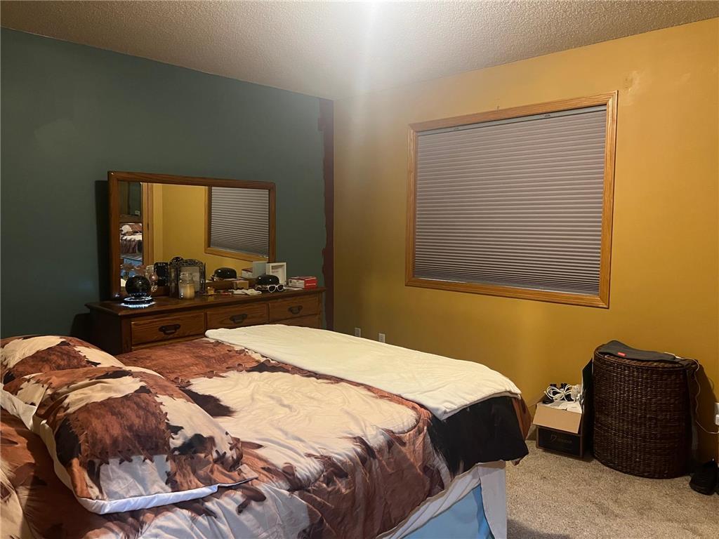 1117 Juniper Lane Buffalo MN 55313 7050934 image7
