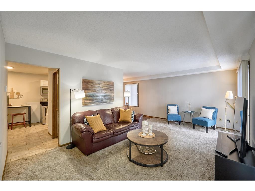 1117 Trailwood S Hopkins MN 55343 7013789 image1