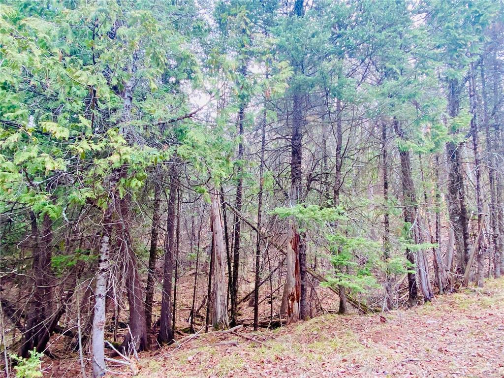 11171 S Engstad Road Solon Springs WI 54873 - Upper St Croix 7061226 image13