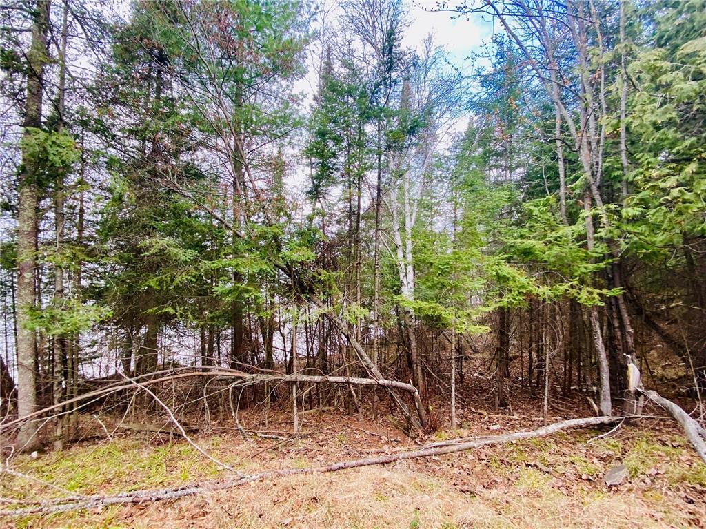 11171 S Engstad Road Solon Springs WI 54873 - Upper St Croix 7061226 image14