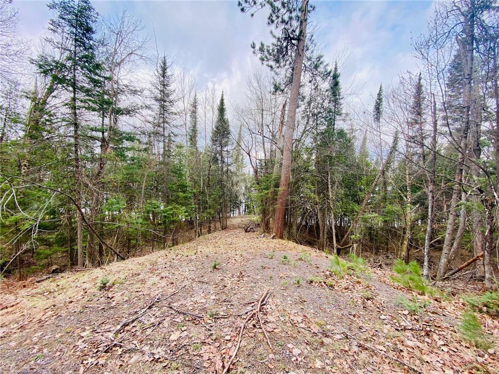 11171 S Engstad Road Solon Springs WI 54873 - Upper St Croix 7061226 image19