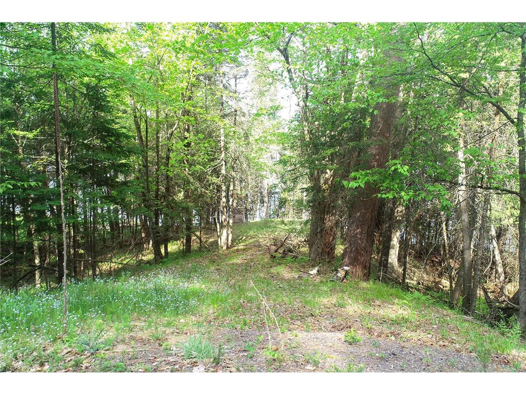 11171 S Engstad Road Solon Springs WI 54873 - Upper St Croix 7061226 image20