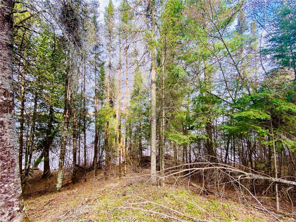 11171 S Engstad Road Solon Springs WI 54873 - Upper St Croix 7061226 image3