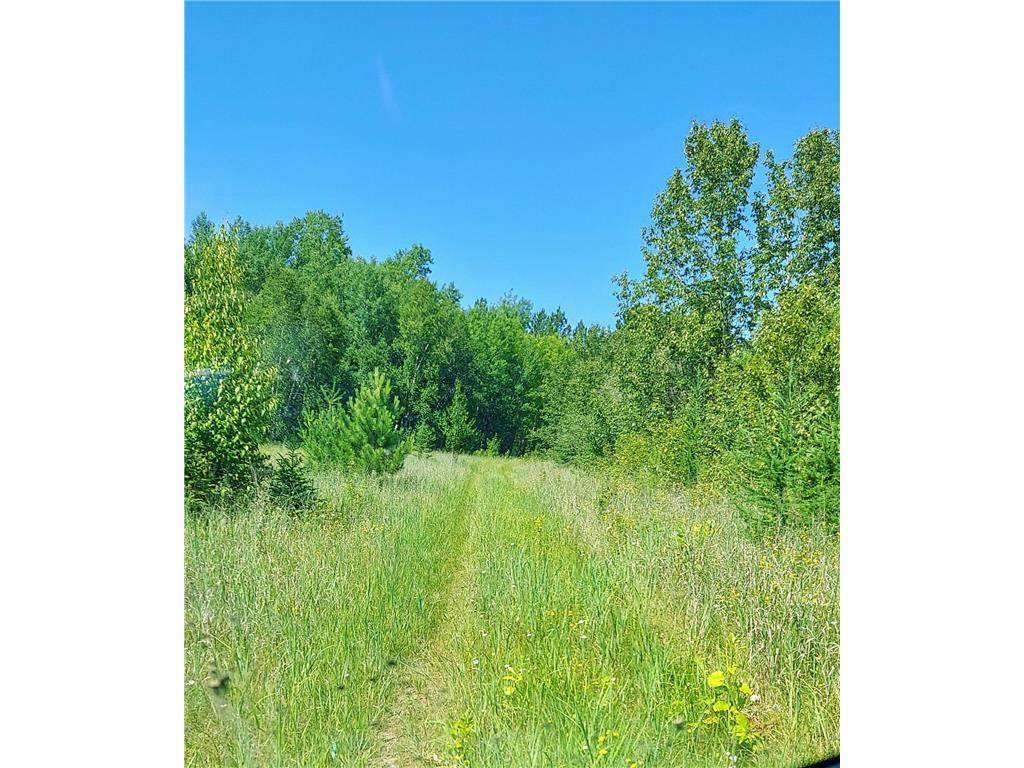 11172 County Road 25 Mizpah MN 56660 - Little Dawson 6570638 image1