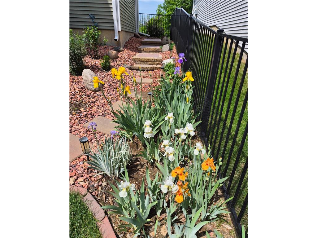 11175 Black Oaks Court N Dayton MN 55369 7096883 image42