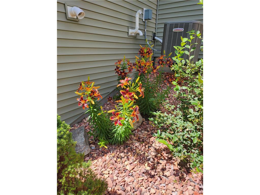 11175 Black Oaks Court N Dayton MN 55369 7096883 image43
