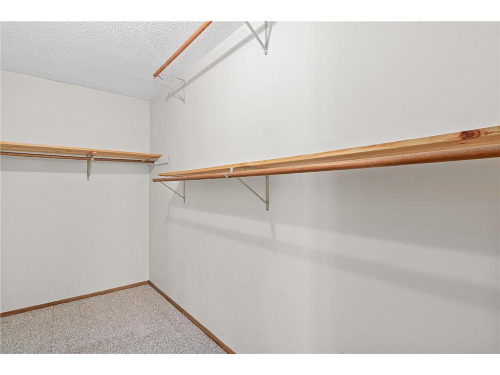 11177 Edgewood Circle N Champlin MN 55316 7070532 image25