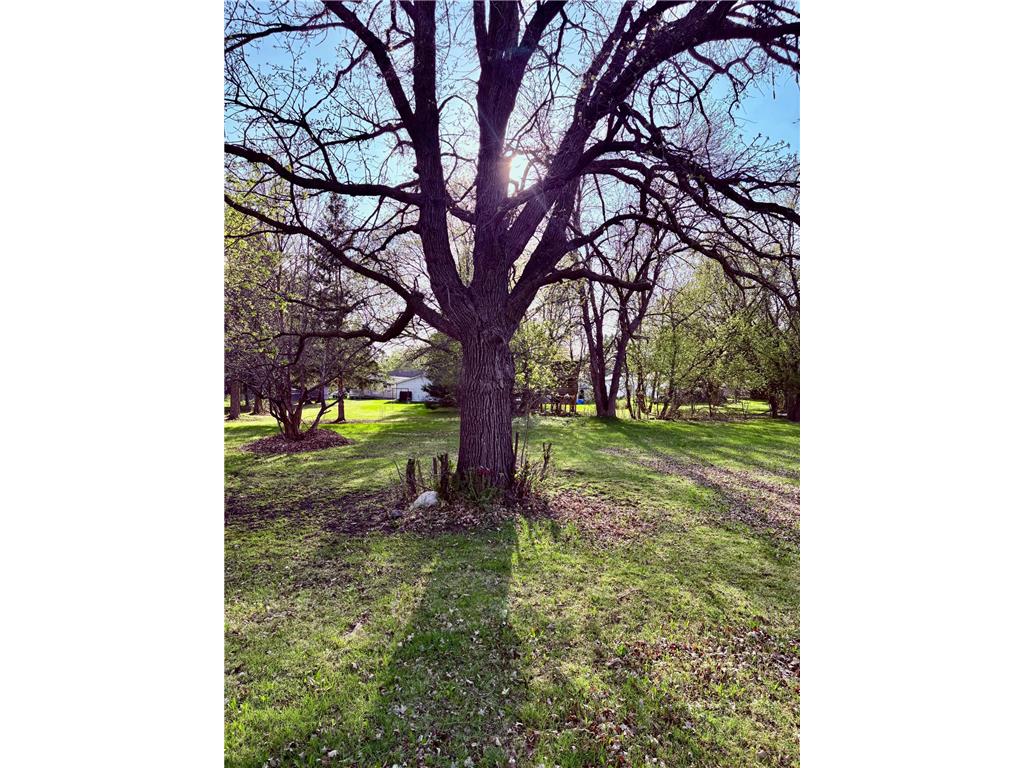 1118 11th Avenue International Falls MN 56649 7080751 image23