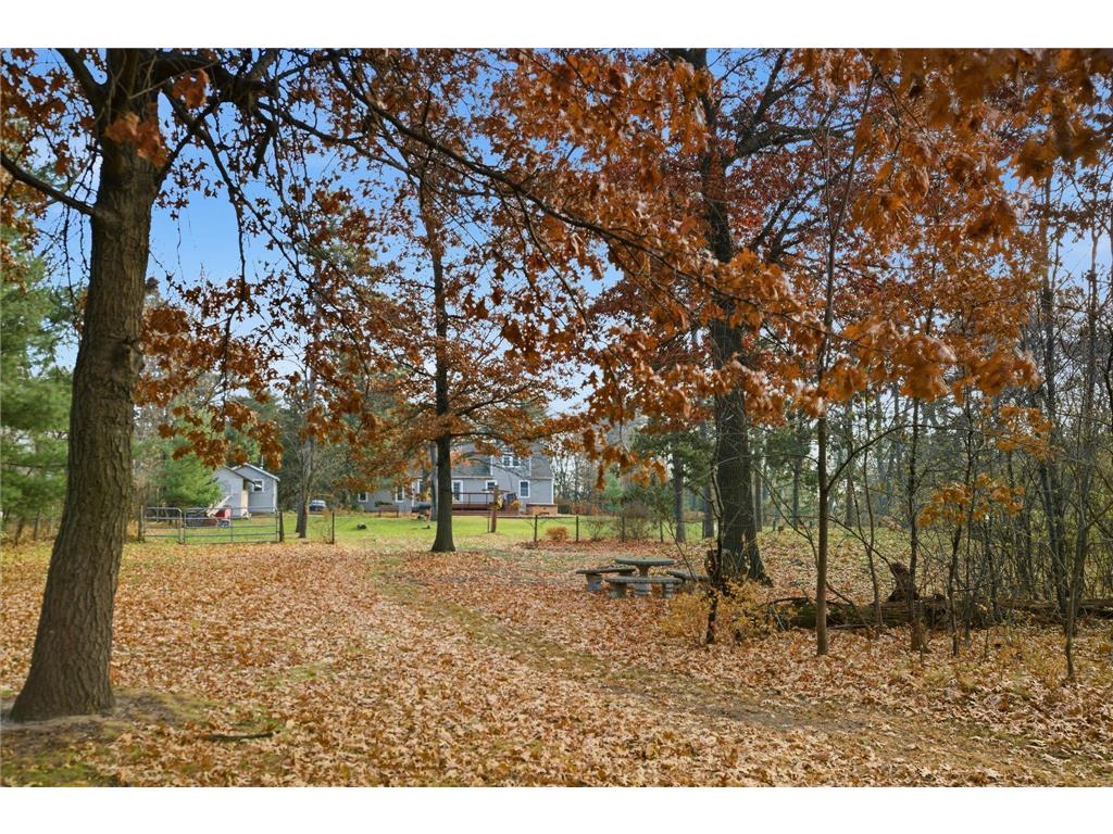 11180 Buchanan Road NE Blaine MN 55434 7056801 image41