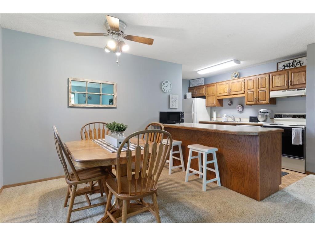 11189 Edgewood Circle N Champlin MN 55316 6770234 image1