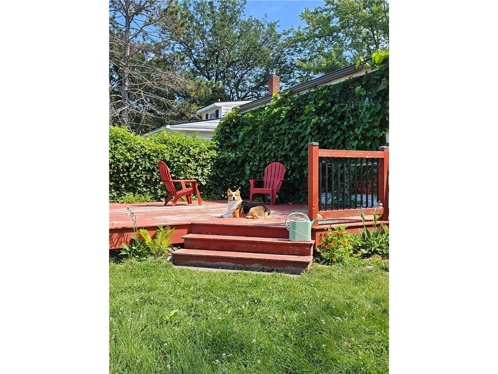 1119 8th Avenue NW Rochester MN 55901 7024367 image34