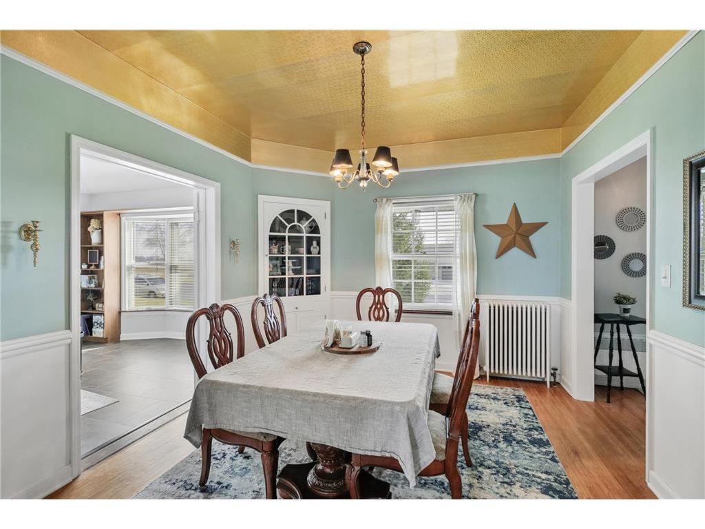 1119 9th Street Gaylord MN 55334 7068607 image9
