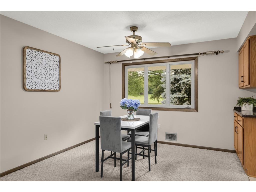 1119 Park Lane Hastings MN 55033 7094365 image9