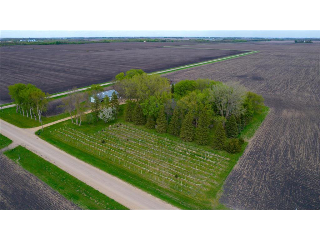 11197 608th Avenue Danville Twp MN 56068 7068210 image10
