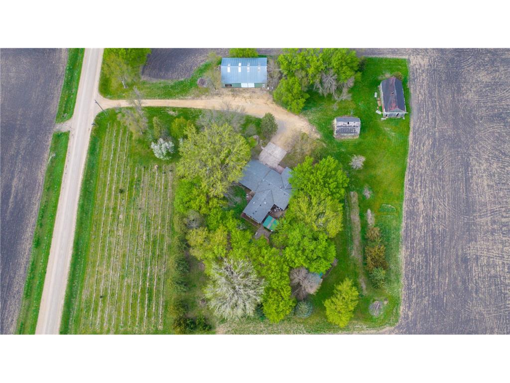 11197 608th Avenue Danville Twp MN 56068 7068210 image4