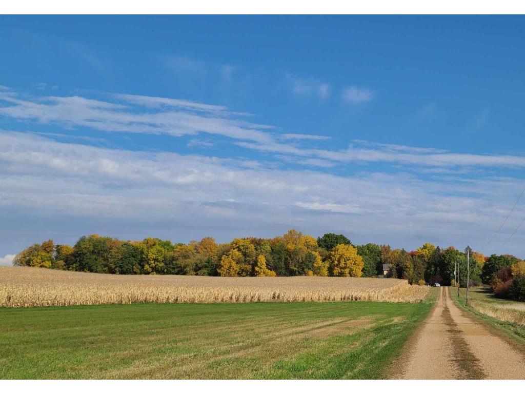 111xx County Rd 152 Cologne MN 55322 6546928 image1