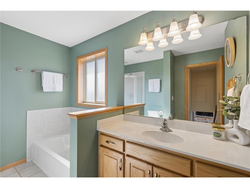112 Addison Way Big Lake MN 55309 7069195 image12