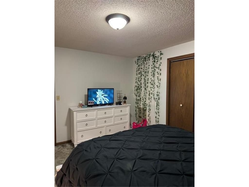 112 Orchard Circle Montevideo MN 56265 6741154 image46