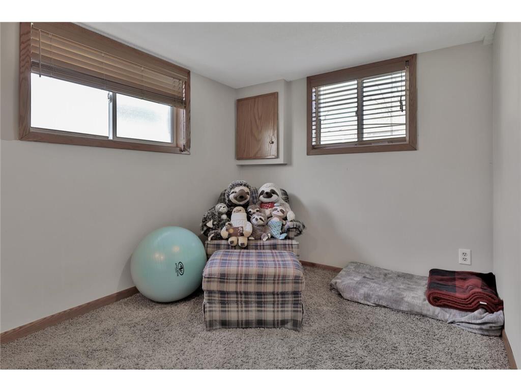1120 Ashland Street Hastings MN 55033 7055922 image43