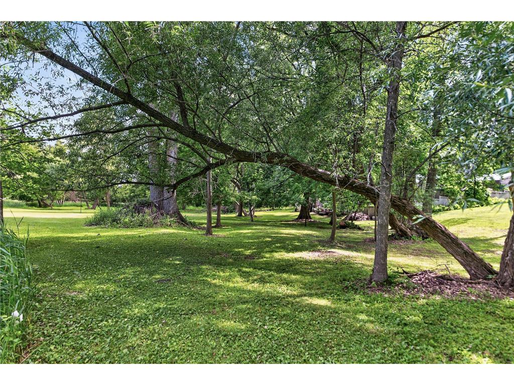 1120 Rockstone Lane New Brighton MN 55112 - Rice Creek 7068292 image17
