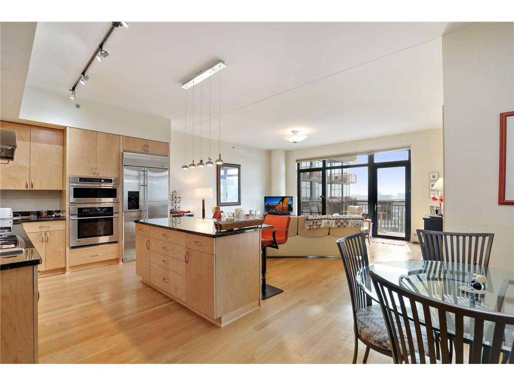 1120 S 2nd Street #1009 Minneapolis MN 55415 6578608 image1