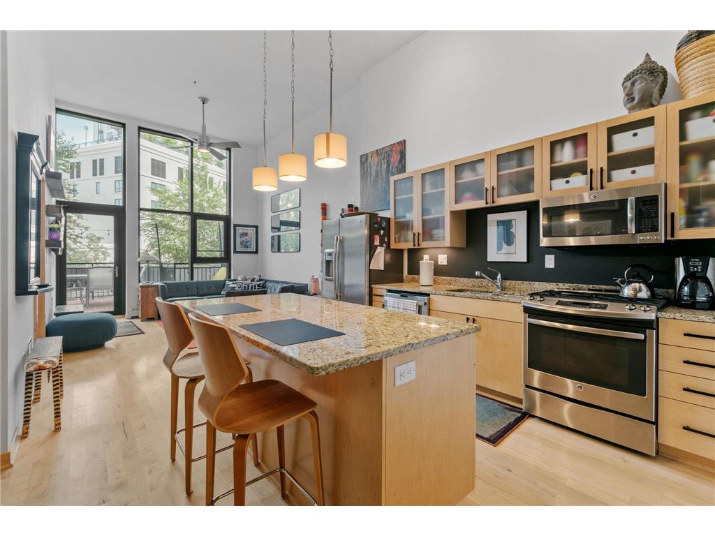 1120 S 2nd Street #102 Minneapolis MN 55415 6414099 image1