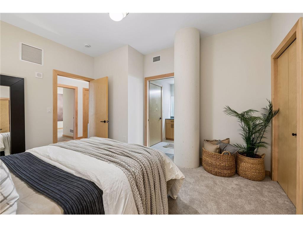 1120 S 2nd Street #1107 Minneapolis MN 55415 7077820 image24