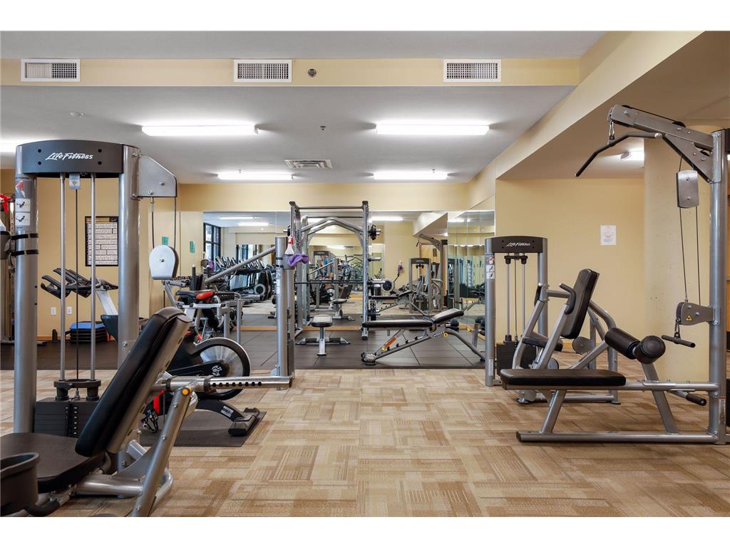 1120 S 2nd Street #1107 Minneapolis MN 55415 7077820 image56