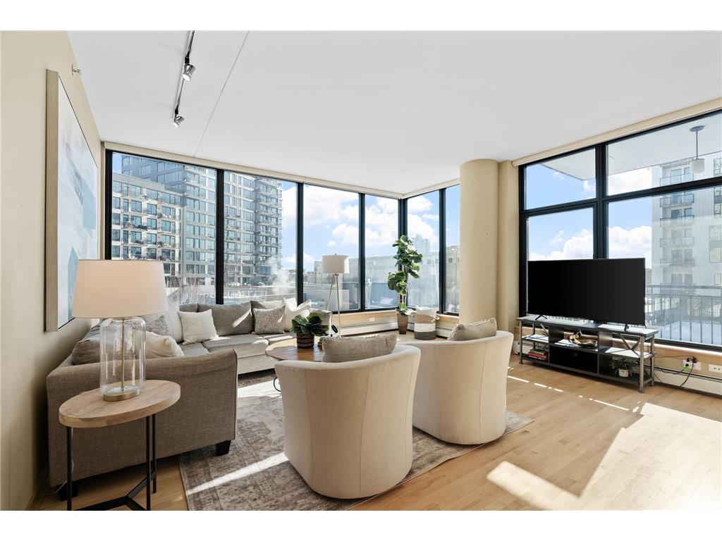 1120 S 2nd Street #302 Minneapolis MN 55415 6484765 image1