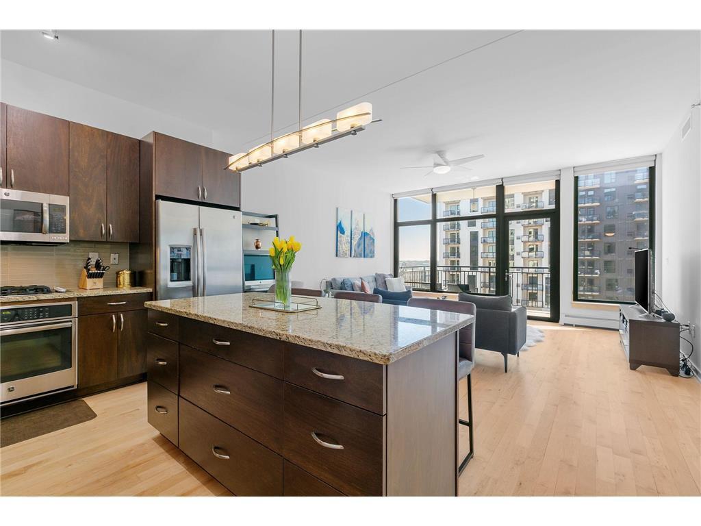 1120 S 2nd Street #604 Minneapolis MN 55415 7045436 image1