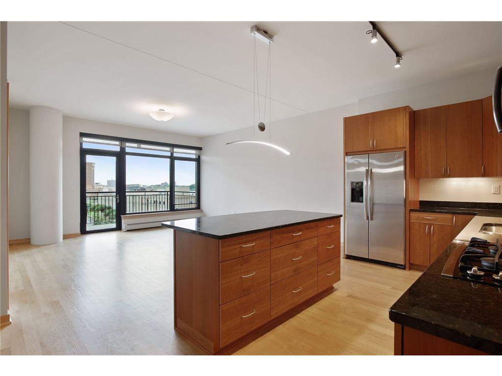 1120 S 2nd Street #613 Minneapolis MN 55415 6331267 image1