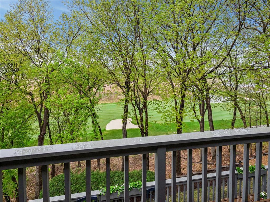 11202 Mount Curve Road Eden Prairie MN 55347 7035861 image51