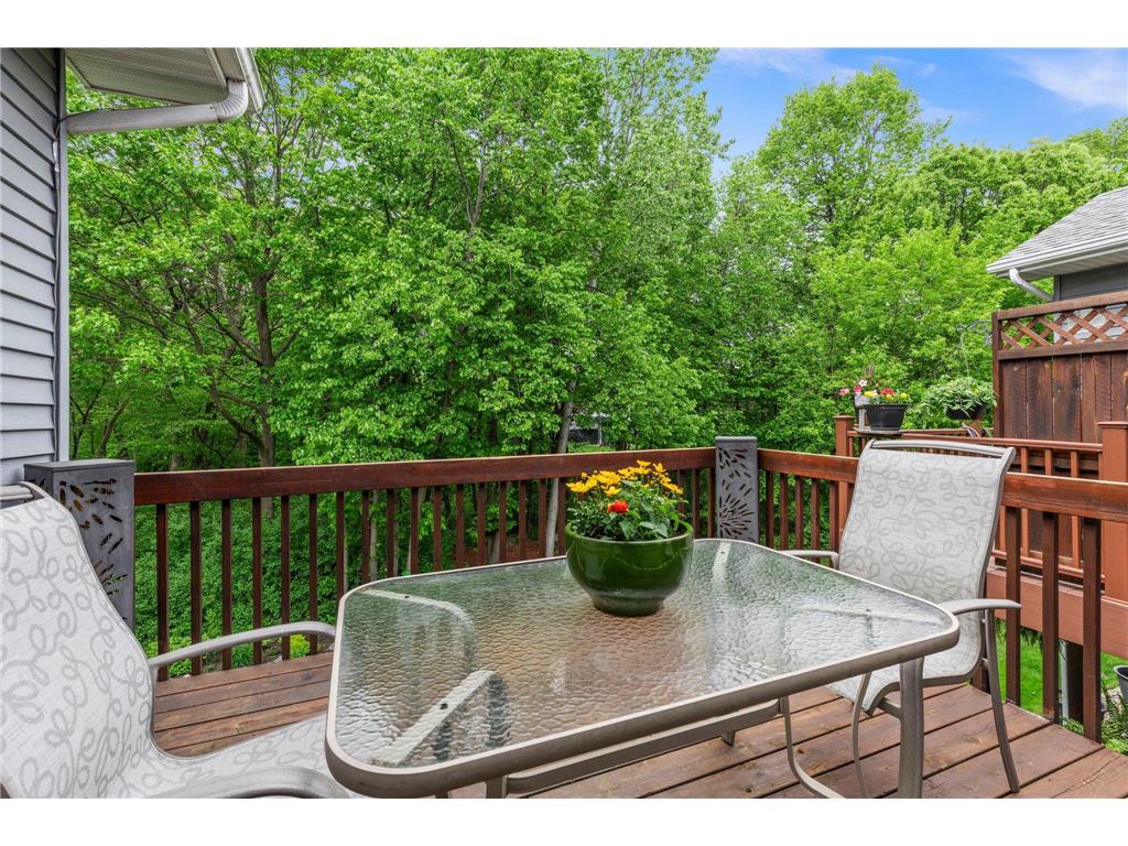 112021 Hidden Creek Place Chaska MN 55318 7059594 image19