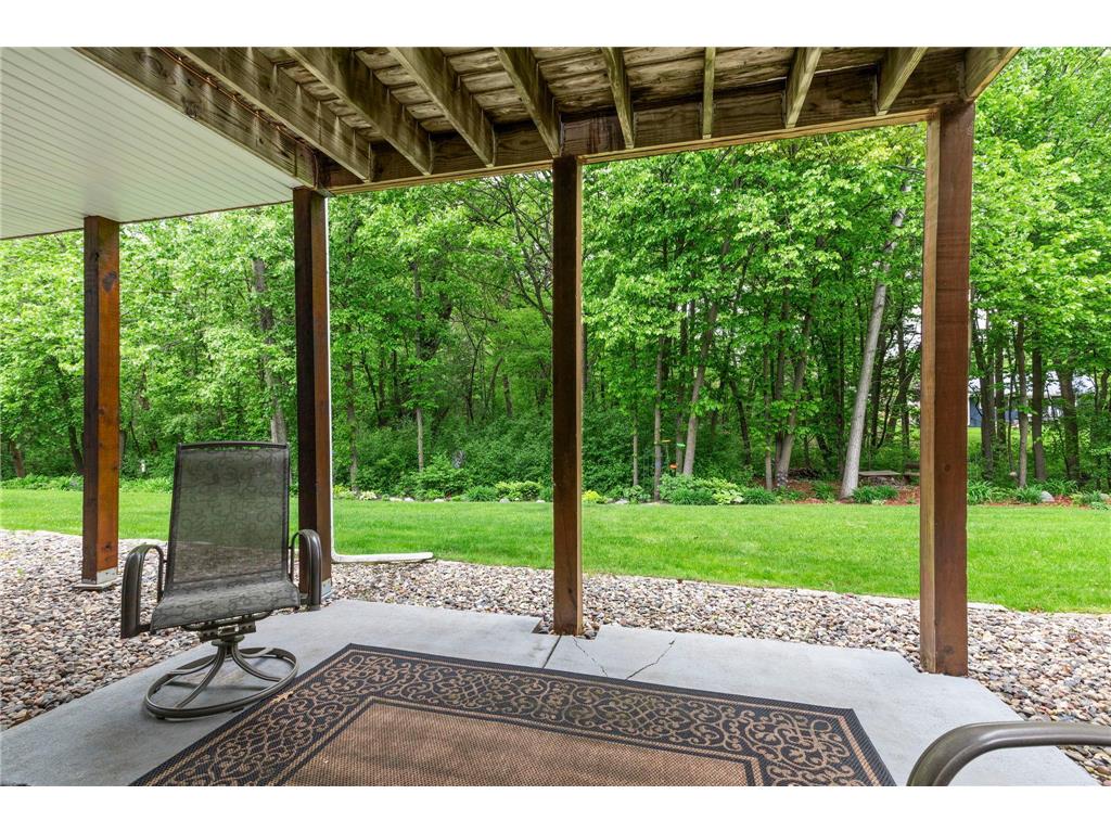 112021 Hidden Creek Place Chaska MN 55318 7059594 image43