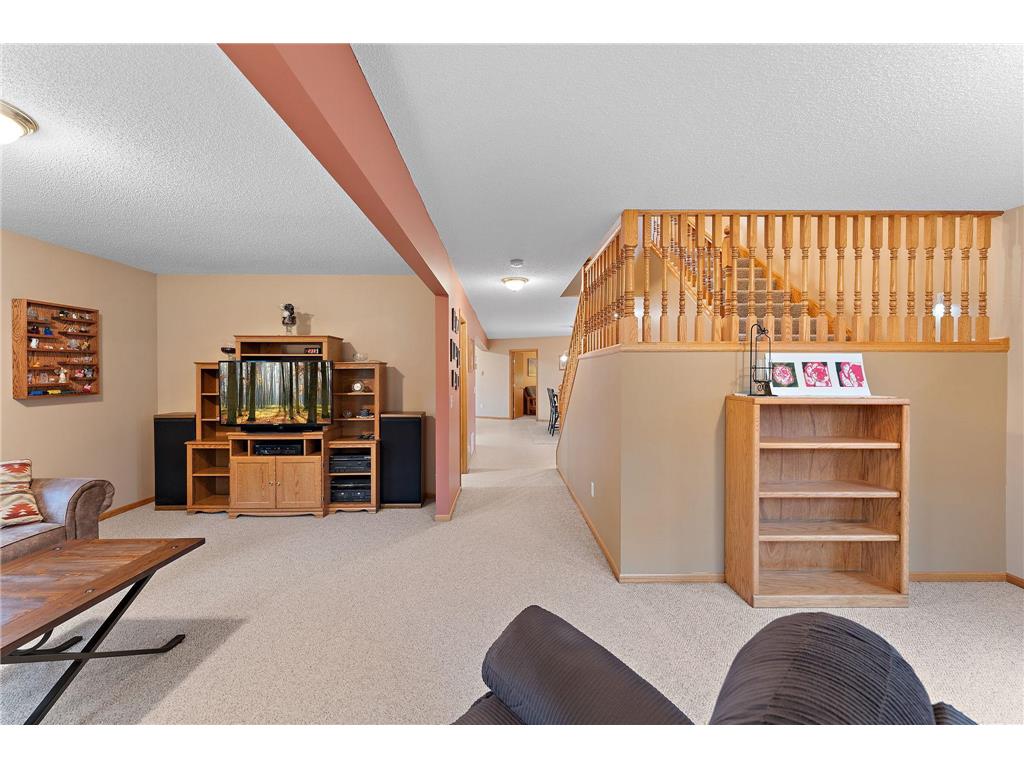 11206 72nd Street S Cottage Grove MN 55016 6804749 image19